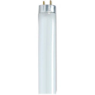 32-watt T8 Fluorescent Bulbs 30 / Carton