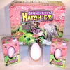 Growing Hatching Lizard Egg